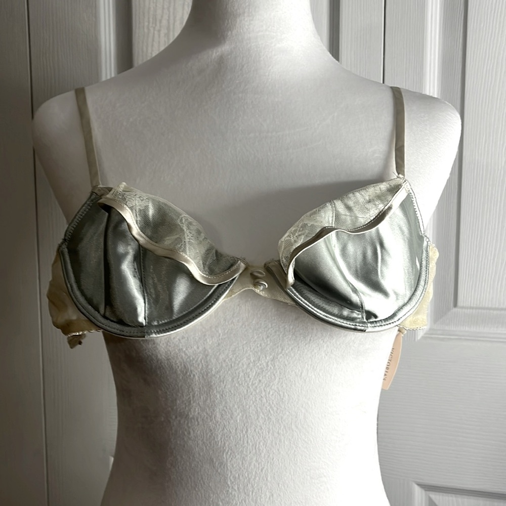 Beautiful satin bra